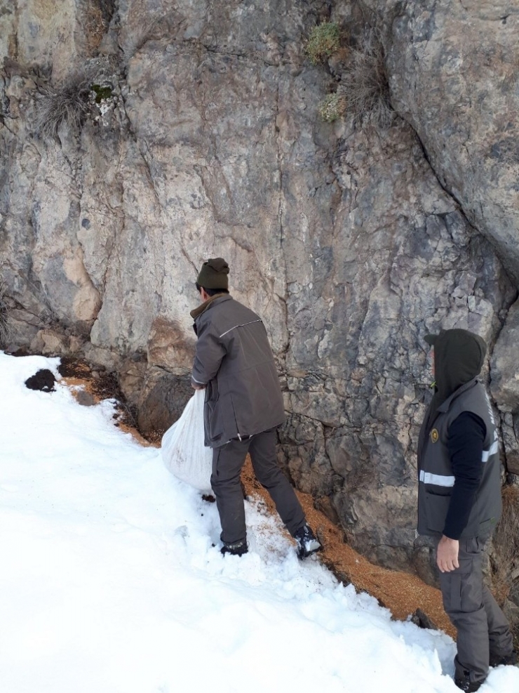 Bingöl’de Yaban Hayvanlar İçin Doğaya Yem Bırakıldı
