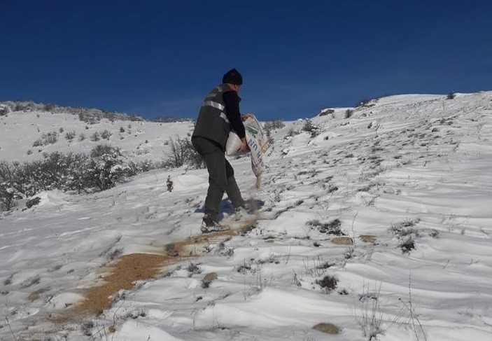 Elazığ’da Yaban Hayvanları İçin 2 Ton Yem Bırakıldı