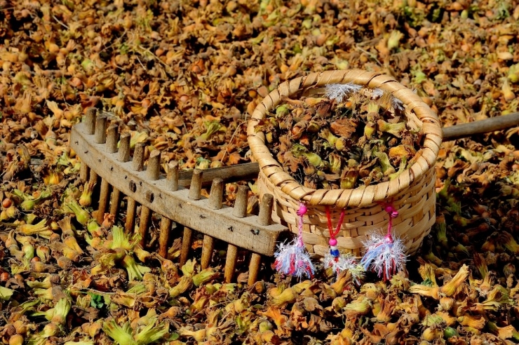 Kfmib: “Alan Bazlı Destek Sıladakine Verilmeli”