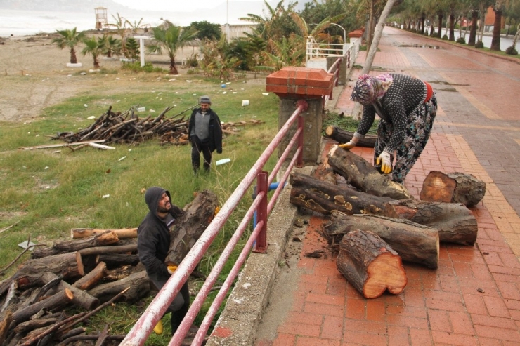 Kışlık Odun Toplamak İçin Sahile Akın Ettiler