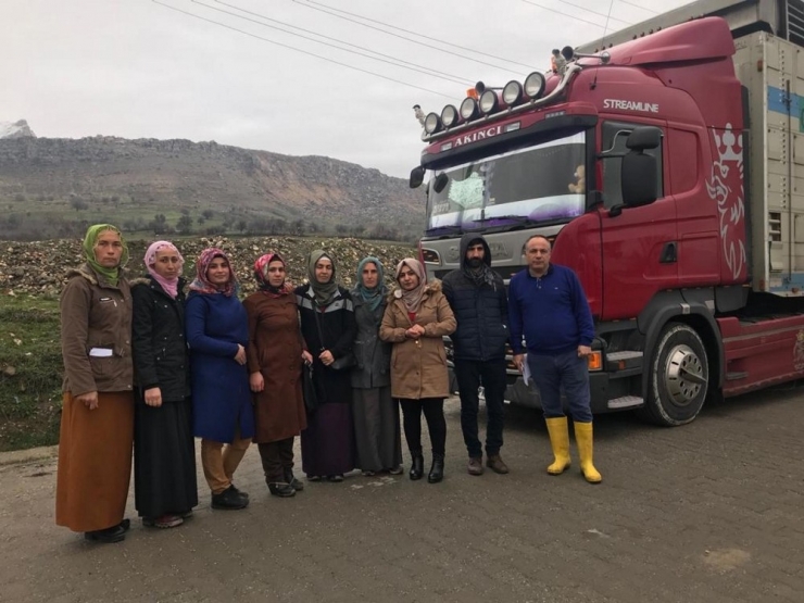 Lice’de 7 Genç Çiftçiye Destek