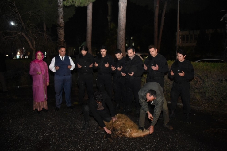 "Kuşatma - 7 Uyuyanlar"ın Çekimlerine Başlandı