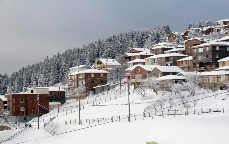 Giresun Yaylalarından Kartpostallık Görüntüler