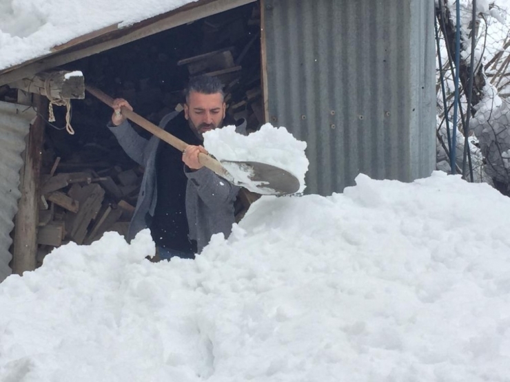 Bingöl’de Yoğun Kar Yağışı İlçelerde Etkili Oldu