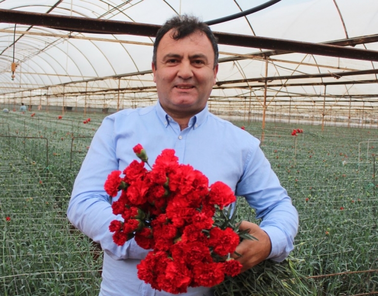 Süs Bitkileri İhracatı 100 Milyon Dolara Ulaştı