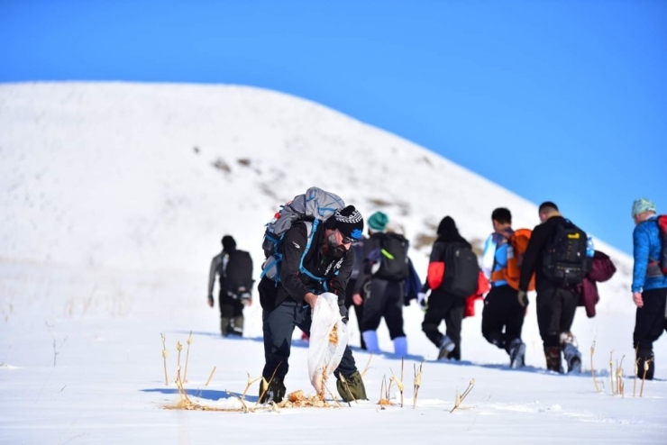 Dağcılardan Yaban Hayvanları İçin Yemleme Çalışması