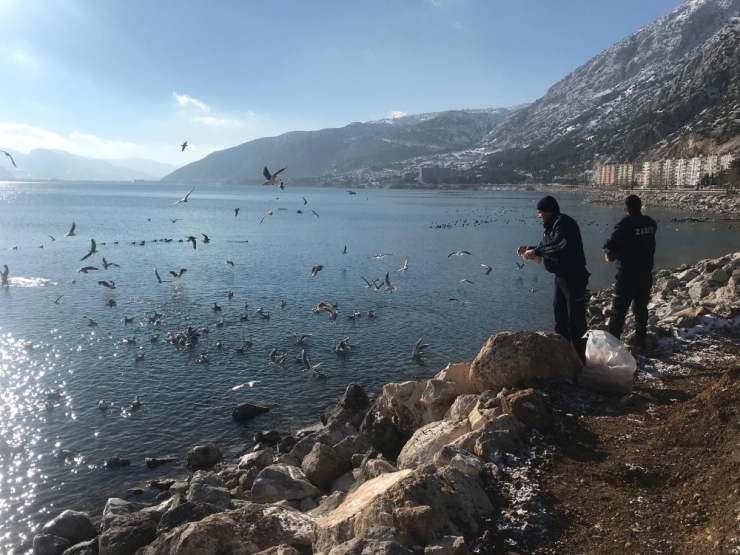 Eğirdir Belediyesi Sokak Hayvanlarını Besledi