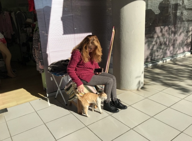 Kedi İle Köpeğin Soğuk Hava Dostluğu Yürekleri Isıttı