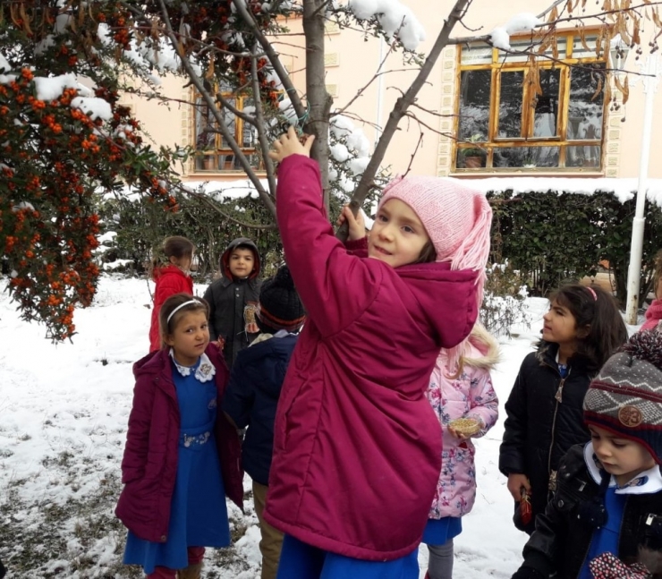 Öğrenciler Kuşlar İçin Yemlikler Ve Yem Hazırladı