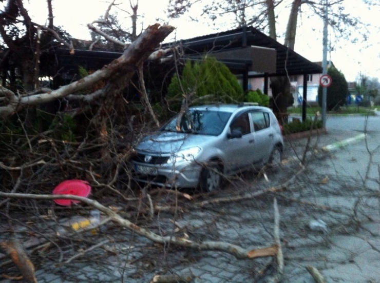 Şiddetli Rüzgardan Aracın Üstüne Elektrik Direği Devrildi