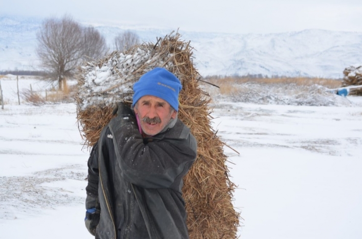 Sultan Sazlığında Kış Ve Yaşam