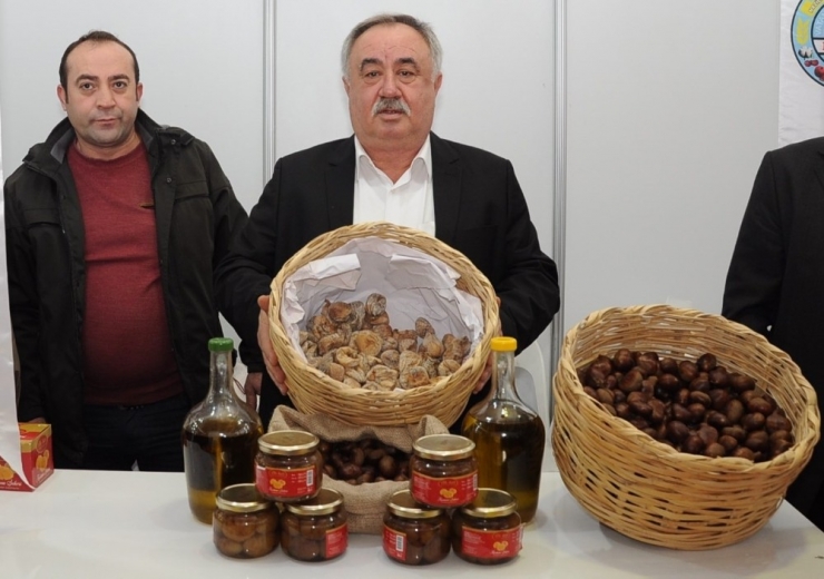 Aydın’ın En Meşhur Efeleri: İncir, Kestane, Zeytin