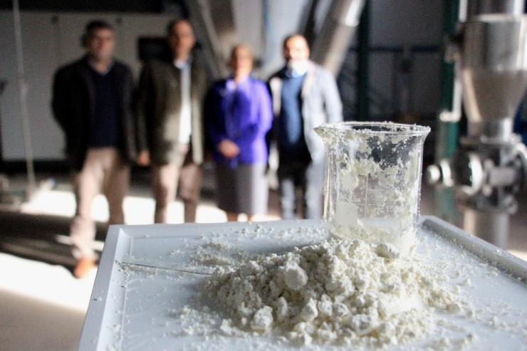 Türkiye’nin İlk ’Yerli Ağız Sütü Tozu’ Üretildi