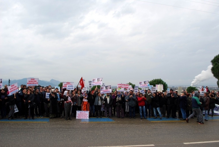 Şentürk: “Jes’ler Hiçbir Atık Üretmeden Elektrik Üretimini Tamamlar”