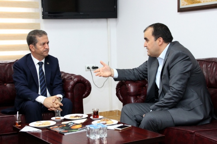 Yüreğir Ziraat Odası Başkanı Doğan: “Adana Bölgesinde Narenciye Toplamakta İşçi Sıkıntısı Yaşadık”