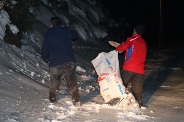 Yaban Hayvanları İçin Gece Dağlara Ekmek Bıraktı