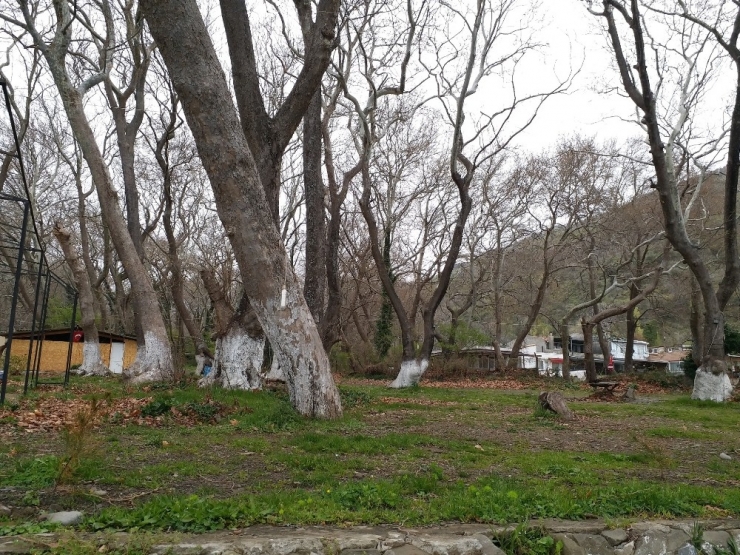 8 Milyon Metrekarelik Sit Alanı Bakanlığın Onayına Gönderildi