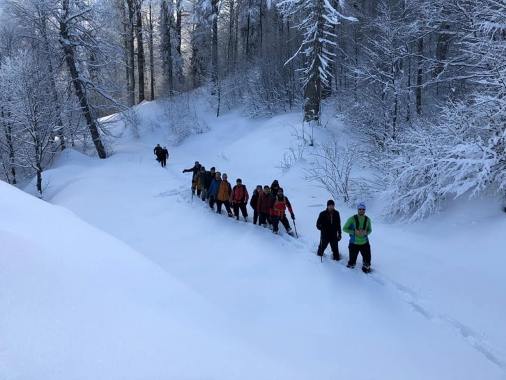 En Çok Domaniç Dağlarını Tercih Ediyorlar