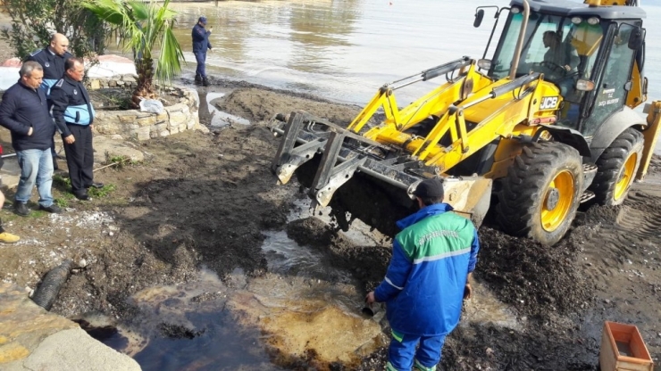 Okulun Yakıt Tankından Sızan Fuel Oil Yağmurla Birlikte Denize Ulaştı