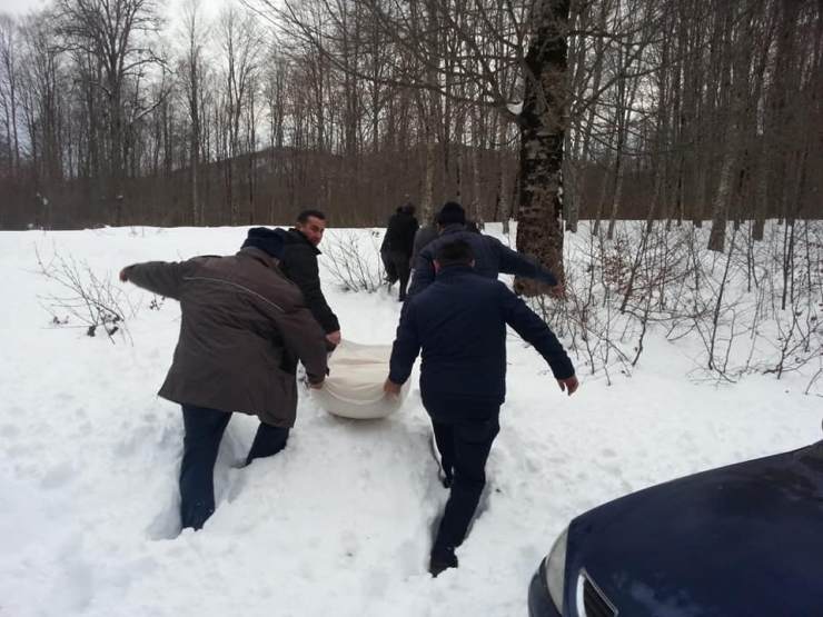 Ordu’da Yaban Hayvanları İçin Doğaya Yem Bırakıldı