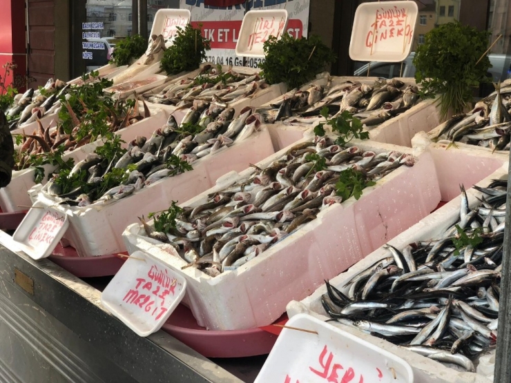 Hamsinin Kilosu Tavuğun Fiyatını Geçti