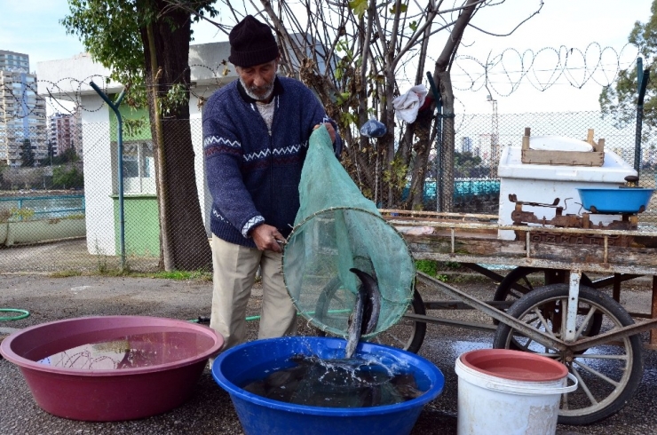 Yayın Balığı Satarak 2 Çocuk Okuttu