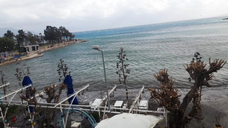 Denize Sızan Yakıt Tamamen Temizlendi