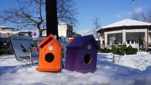 Kuş Evleri Akyazı’ya Renk Kattı