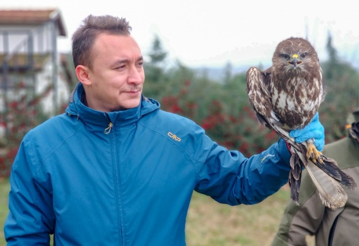 Tedavileri Tamamlanan Şahinler Hürriyete Uçtu
