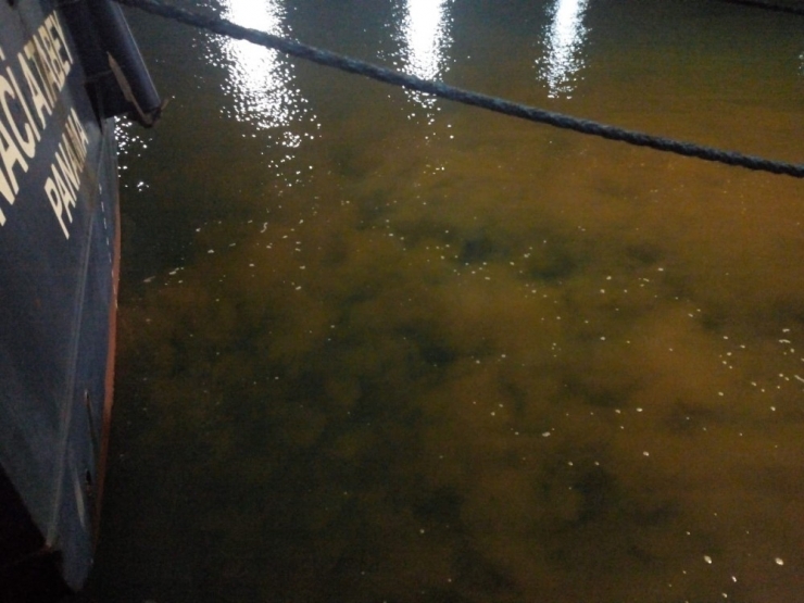 Sintinesini Denize Boşaltan Yük Gemisine 799 Bin Tl Ceza