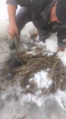 Buz Altından Elle Balık Çıkardılar