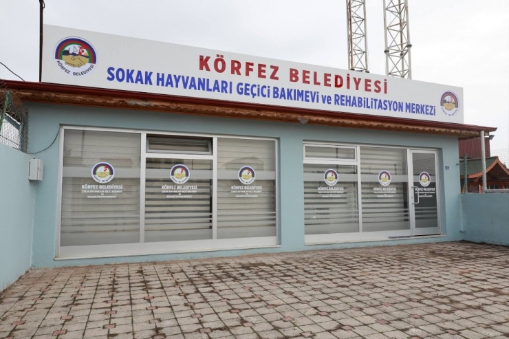 Körfez Sokak Hayvanları Bakım Ve Rehabilitasyon Merkezi Tamamlandı