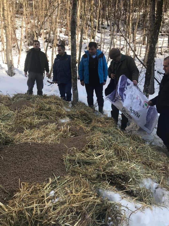 Mengen’de Yaban Hayvanları Yemlendi