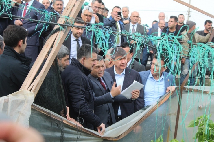 Bakan Pakdemirli: "Finike Ve Kumluca’da 5 Bin Dönüm Örtü Altı Alan Zarar Gördü"