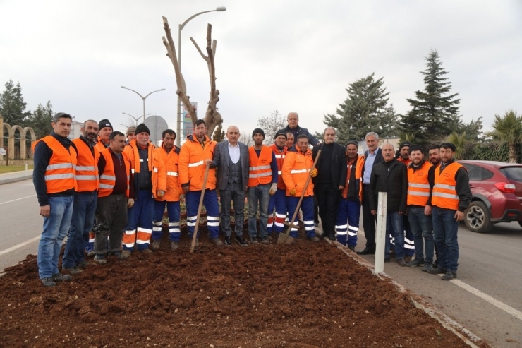 Kilis’te Lale Soğanı Dikilmeye Devam Ediliyor