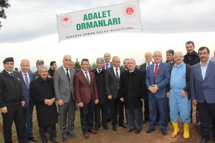 Sakarya’da ‘Adalet Ormanı’ Oluşturuldu