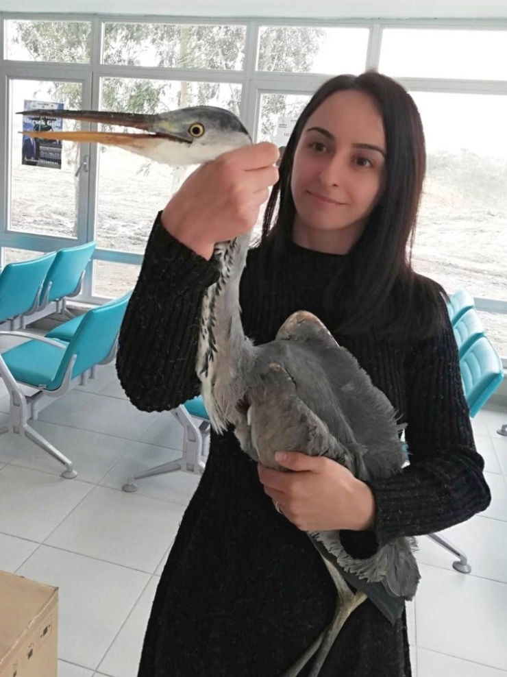 Yaralı Kuşa Anında Müdahale Edildi