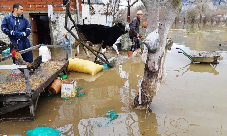 İtfaiyeden Koyun-keçi Kurtarma Operasyonu