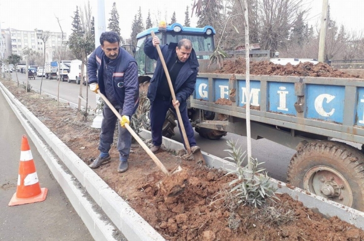 Belediyeden Refüj Çalışması