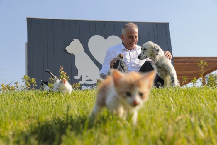 5 Yıldızlı Sokak Hayvanları Tesisini Bakan Pekdemirli Açacak