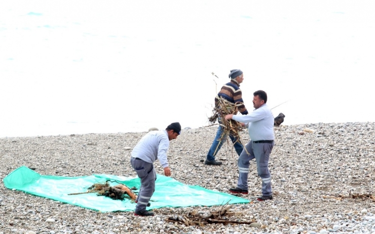 Büyükşehirden Fırtına Sonrası Konyaaltı’nda Sahil Temizliği