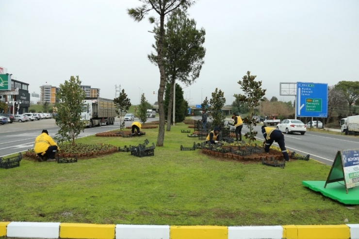 Aydın Caddeleri Dört Mevsim Rengarenk