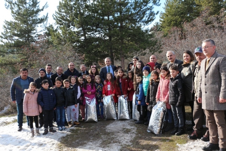 Okul Harçlıklarını ‘Patiler Üşümesin’ Diyerek Sokak Hayvanlarına Ayırdılar