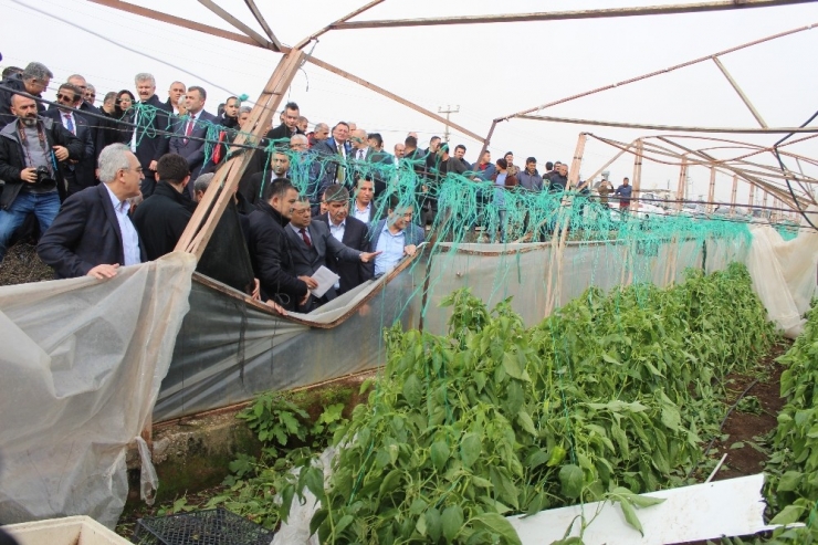 Bakan Pakdemirli: "Antalya’da Bin 380 Hasar Dosyası Sonuçlandırılarak 30 Milyon Tl Tazminat Ödemesi Yapılmıştır"