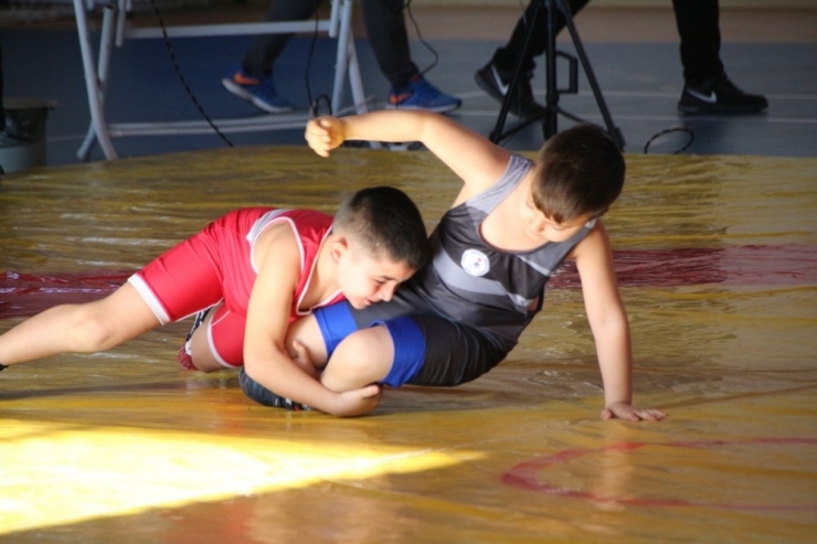 Şehit Ömer Halisdemir Güreş Turnuvası Yapıldı