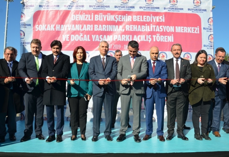 Bakan Pakdemirli: "Pet Shoplarda Bundan Sonra Kedi Köpek Satılmayacak"