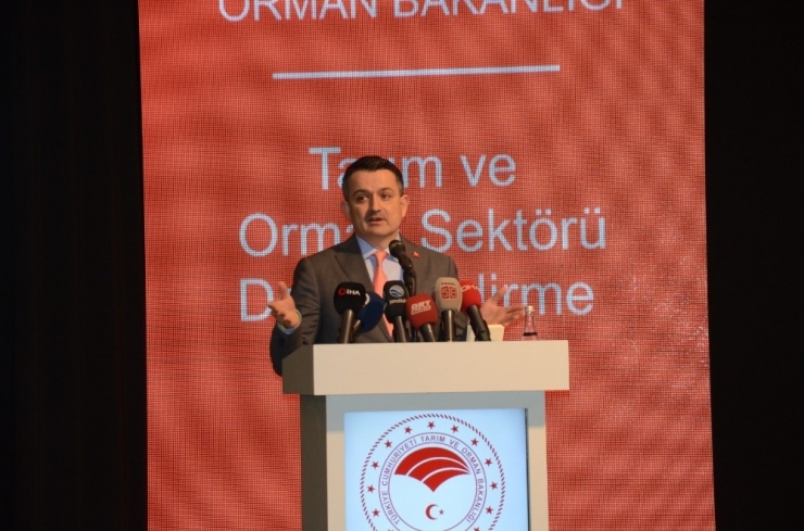Tarım Ve Orman Bakanı Pakdemirli Sektör Toplantısına Katıldı