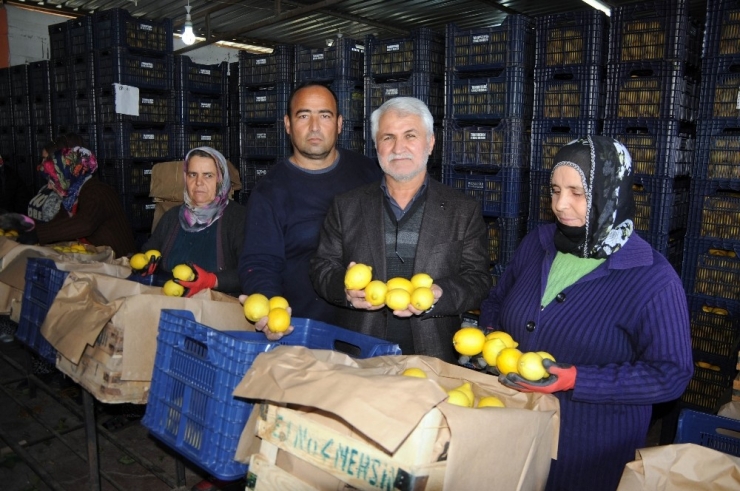 80 Kuruşluk Narenciye Tezgahta 4 Misli Fiyattan Satılıyor