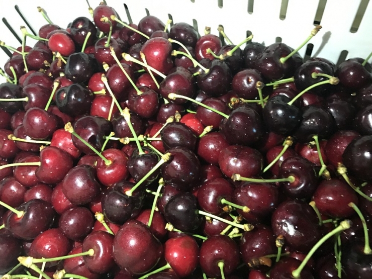 Yaş Meyve Sektörü 2023 Hedeflerine Üretici-ihracatçı Birlikte Ulaşacak