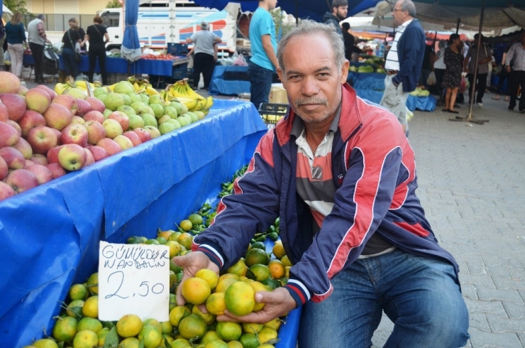 İlaç Kalıntısına Karşı Denetimler Sık Ve Etkin Yapılmalı